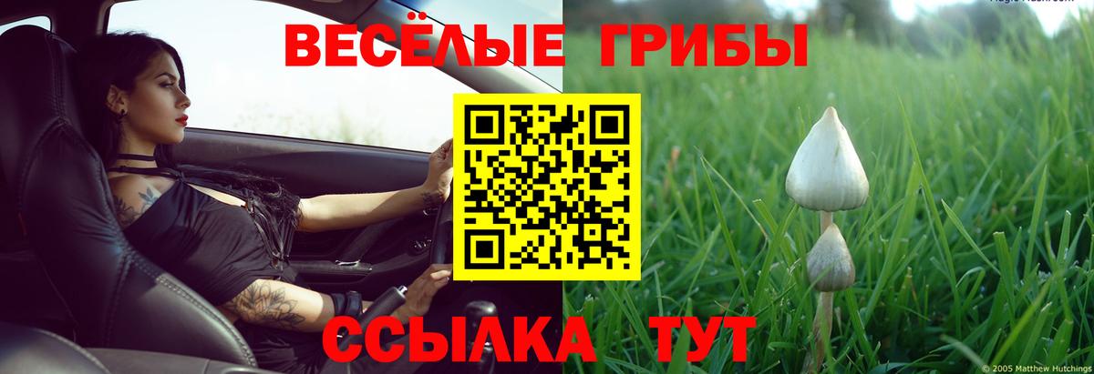 Мурманск  Галлюциногенные грибы мухоморы  Вход с VPN 